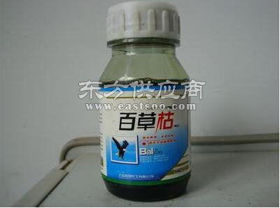 二月藍(lán)綠化器材出售與苗木營(yíng)養(yǎng)杯供應(yīng)商介紹